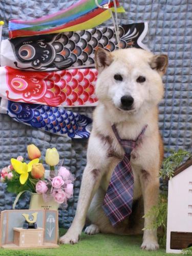 20230509シバタくん